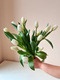 Mother's Day Edit | Crème French Tulips bunch