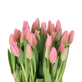 Mother's Day Edit | Milkshake French Tulips