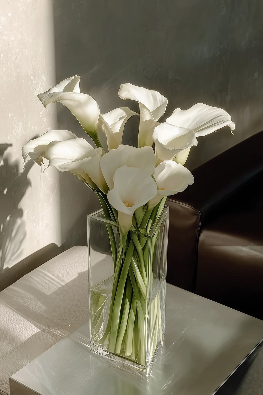 XXL White Calla Lily | by the stem